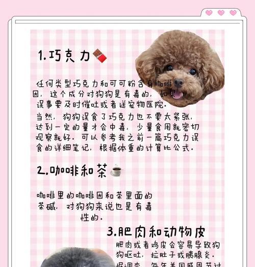 营养全面的二个月小狗饮食指南（宠物主人必看的养狗技巧）