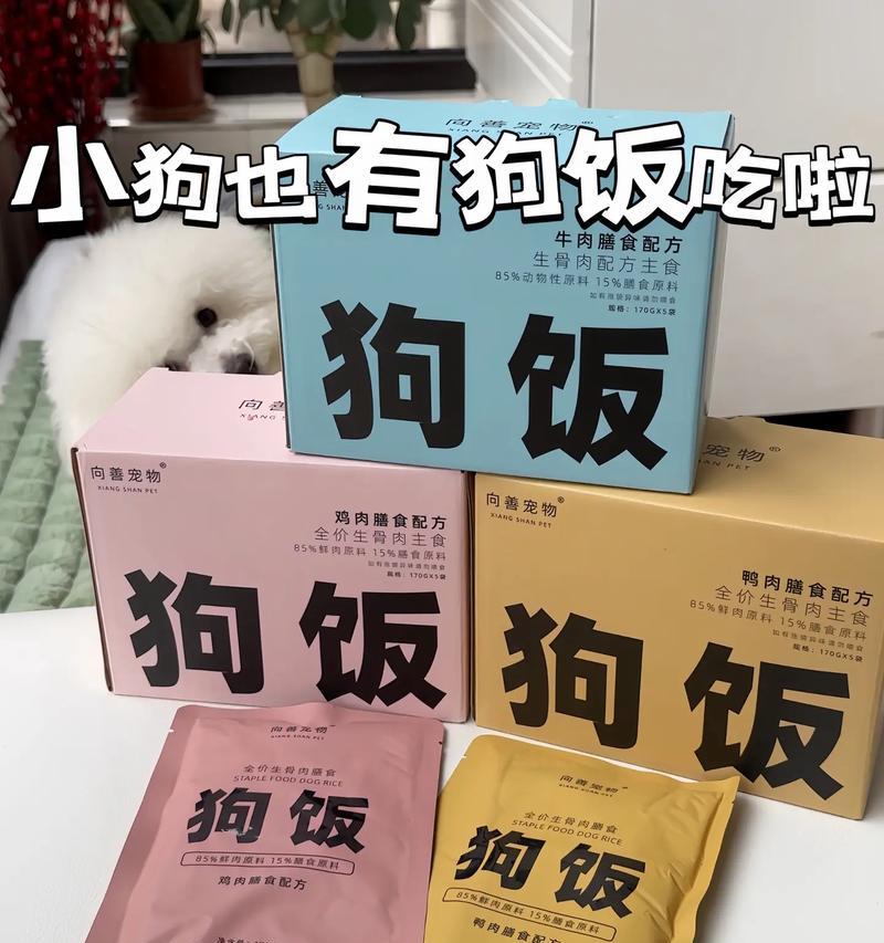 营养全面的二个月小狗饮食指南(宠物主人必看的养狗技巧) 营养全面的二个月小狗饮食指南(宠物主人必看的养狗技巧)