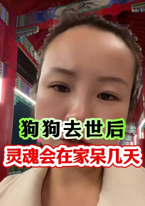 狗狗临死前最希望什么(宠物的最后期待与主人的不舍) 狗狗临死前最希望什么(宠物的最后期待与主人的不舍)