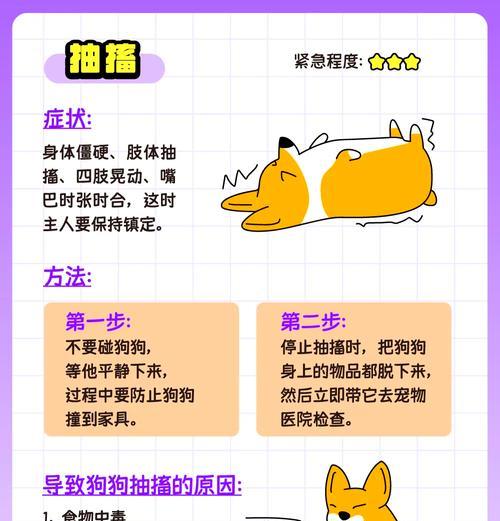 狗狗食欲亢进,拉血怎么办(宠物爱吃) 狗狗食欲亢进,拉血怎么办(宠物爱吃)