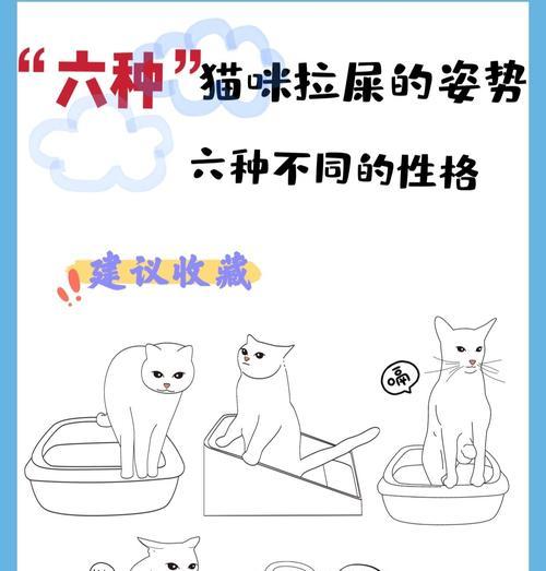 训练小猫使用猫砂拉尿的技巧(让你的宠物爱上猫砂) 训练小猫使用猫砂拉尿的技巧(让你的宠物爱上猫砂)