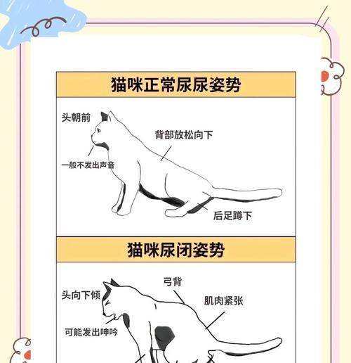 训练小猫使用猫砂拉尿的技巧(让你的宠物爱上猫砂) 训练小猫使用猫砂拉尿的技巧(让你的宠物爱上猫砂)