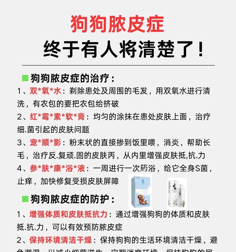 成年泰迪狗皮肤起皮痒的解决方法(宠物爱护必备) 成年泰迪狗皮肤起皮痒的解决方法(宠物爱护必备)