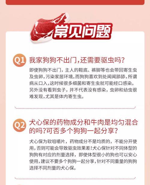 为什么宠物犬要定期驱虫（宠物犬健康保障）