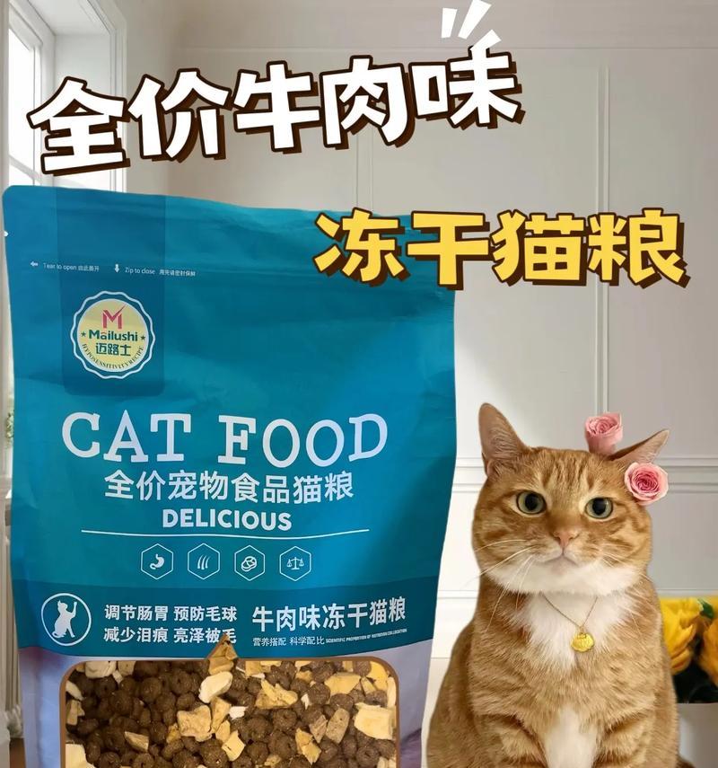 小猫吃成猫猫粮是否可行（让小猫吃成猫猫粮需要注意些什么）