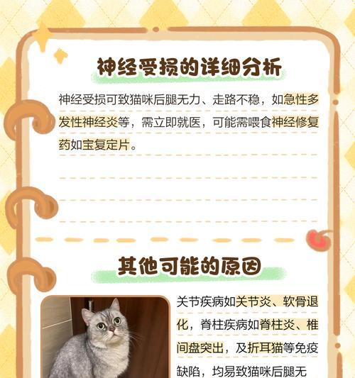 猫咪走路倒下，如何保护宠物的健康（探讨猫咪走路倒下的原因及预防方法）