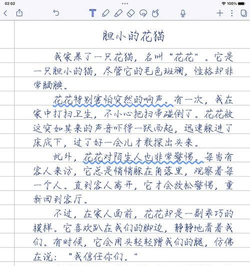 宠物日记：小猫的生活点滴