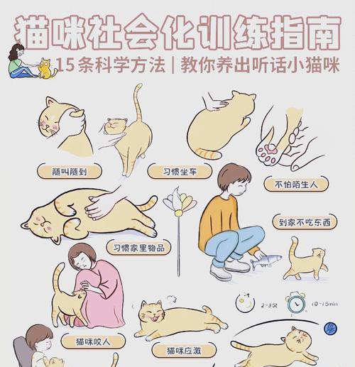 如何训练猫自己睡觉(让宠物拥有健康睡眠的秘诀) 如何训练猫自己睡觉(让宠物拥有健康睡眠的秘诀)