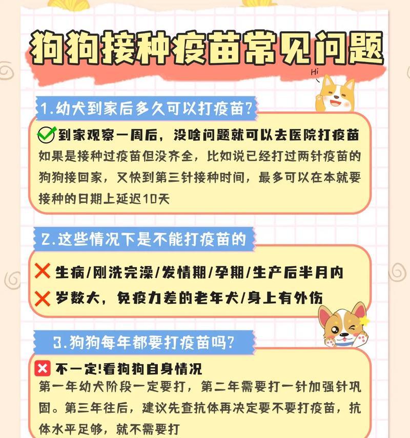 小狗接种疫苗后的洗澡时间（宠物爱洁净）