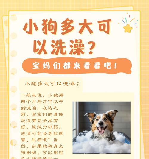 小狗接种疫苗后的洗澡时间(宠物爱洁净) 小狗接种疫苗后的洗澡时间(宠物爱洁净)
