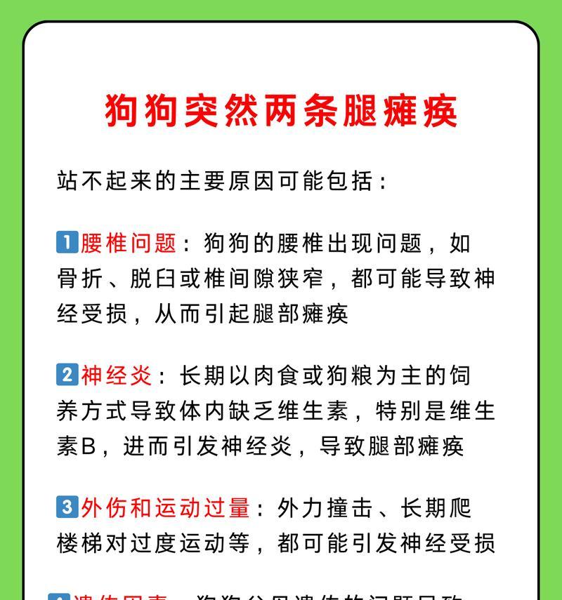 狗狗瘫痪出现问题,如何治疗(如何恢复宠物健康) 狗狗瘫痪出现问题,如何治疗(如何恢复宠物健康)