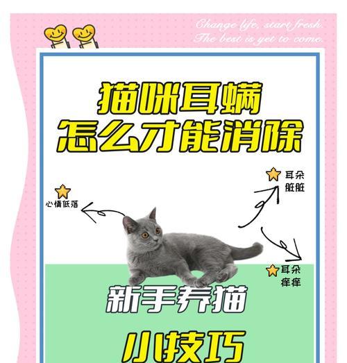 家中宠物耳朵发痒（解决宠物耳朵问题）