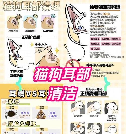 家中宠物耳朵发痒(解决宠物耳朵问题) 家中宠物耳朵发痒(解决宠物耳朵问题)