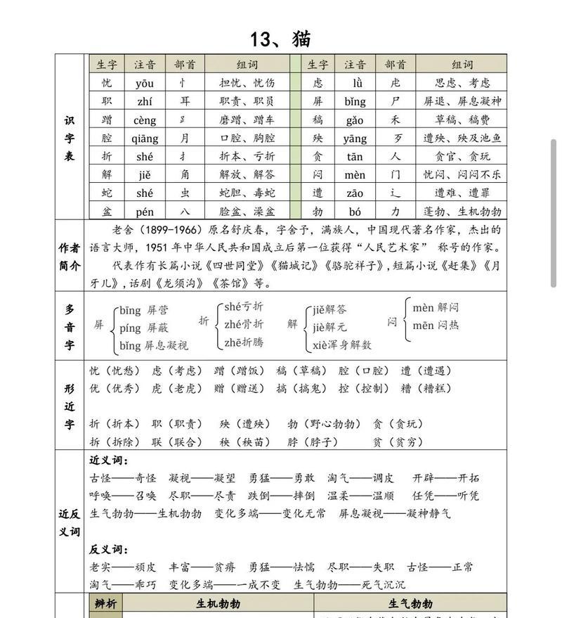 《与13猫共度时光》（探索宠物养成的乐趣）