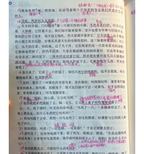 《与13猫共度时光》（探索宠物养成的乐趣）