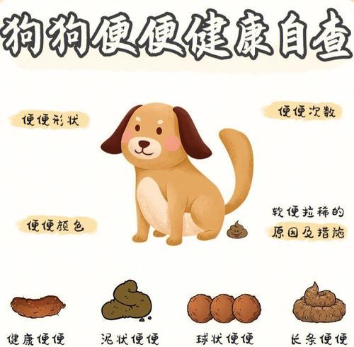 如何训练宠物狗少拉屎（小狗拉屎问题解决方案）