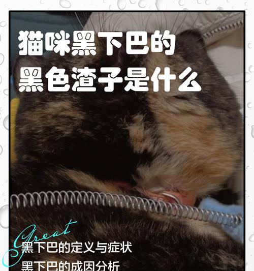 猫咪的黑色嘴巴粘膜（了解宠物猫的健康状况）