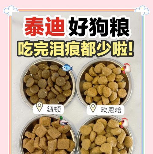 贵宾吃了小狗尾巴的悲惨故事（爱宠人士必看）