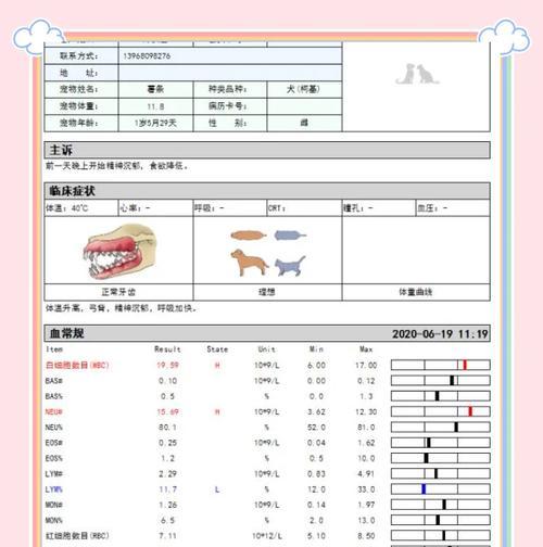 如何应对狗狗发烧不吃不喝的情况（狗狗感冒了怎么办）