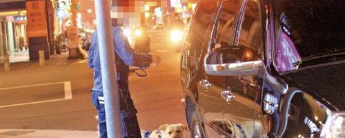 宠物狗咬伤怎么办(处理方法和预防措施) 宠物狗咬伤怎么办(处理方法和预防措施)