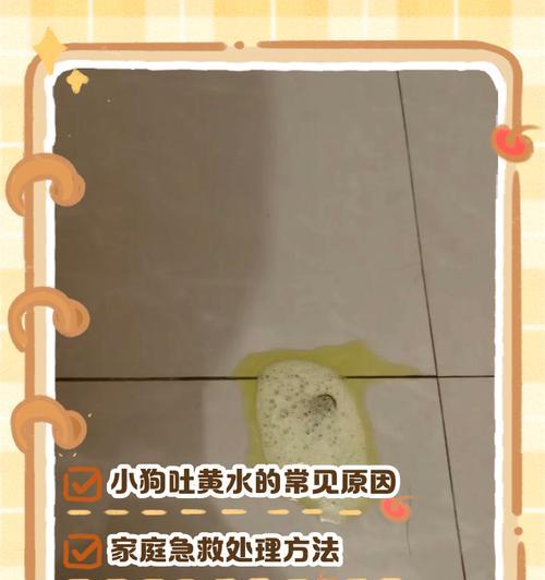 狗狗拉油(探究狗狗拉油的真相和背后的科学原理) 狗狗拉油(探究狗狗拉油的真相和背后的科学原理)