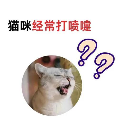 宠物感冒了怎么办（以小猫吹空调感冒为例）