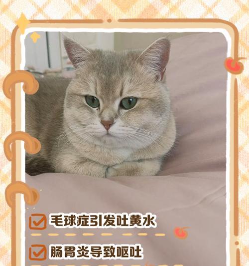 小猫吐虫,宠物主人必知的防治方法(小猫吐虫的症状与危害) 小猫吐虫,宠物主人必知的防治方法(小猫吐虫的症状与危害)