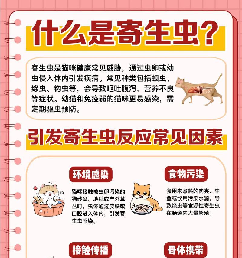 小猫吐虫,宠物主人必知的防治方法(小猫吐虫的症状与危害) 小猫吐虫,宠物主人必知的防治方法(小猫吐虫的症状与危害)