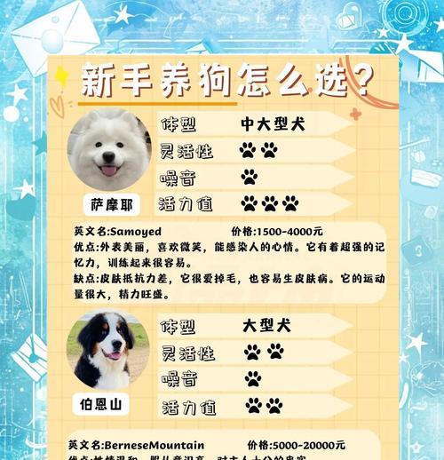 全面了解狗狗的日常护理(宠物主人必知的15个护理要点) 全面了解狗狗的日常护理(宠物主人必知的15个护理要点)