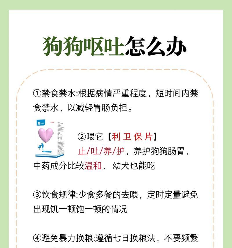 小狗不吃东西拼命喝水怎么办(宠物健康的必备知识——如何应对小狗不吃饭只喝水的情况) 小狗不吃东西拼命喝水怎么办(宠物健康的必备知识——如何应对小狗不吃饭只喝水的情况)