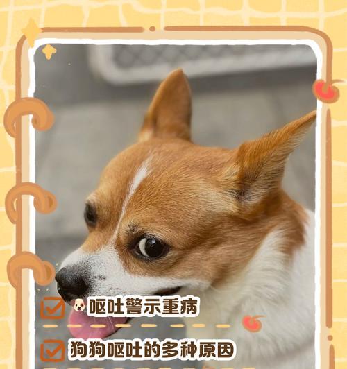 小狗不吃东西拼命喝水怎么办(宠物健康的必备知识——如何应对小狗不吃饭只喝水的情况) 小狗不吃东西拼命喝水怎么办(宠物健康的必备知识——如何应对小狗不吃饭只喝水的情况)
