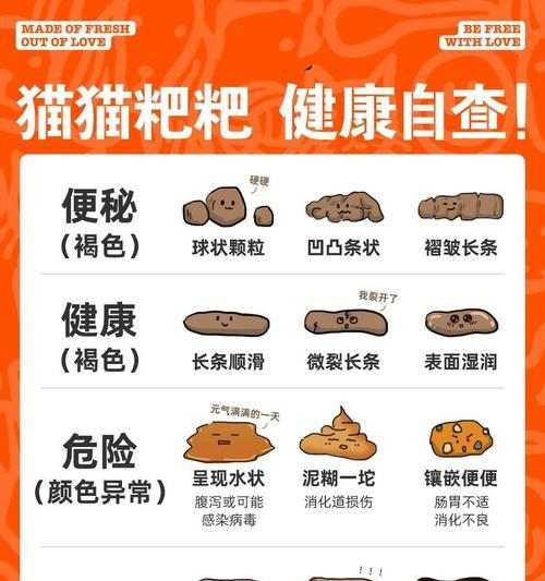 宠物猫的便便少，有哪些原因（猫咪便便量少的特点及原因解析）