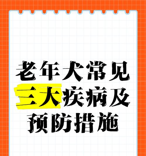 老年犬常见疾病-如何延长宠物的寿命（预防与治疗方法详解）