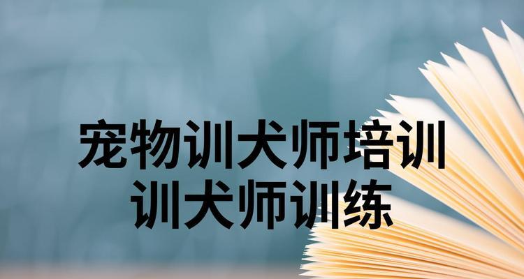 如何有效训练你的宠物狗(掌握基本技巧) 如何有效训练你的宠物狗(掌握基本技巧)