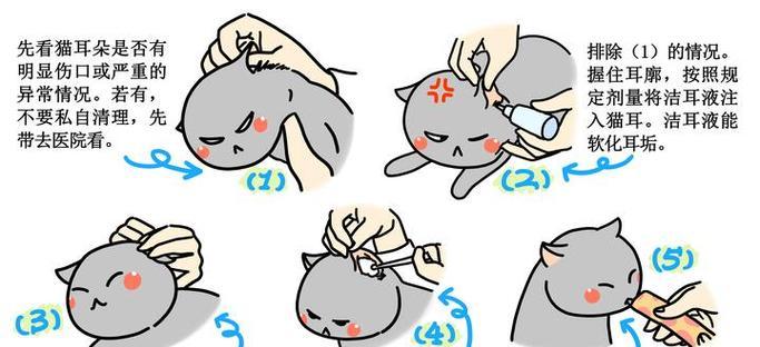 如何有效地给宠物猫除耳螨（宠物猫耳螨症状、预防和治疗）