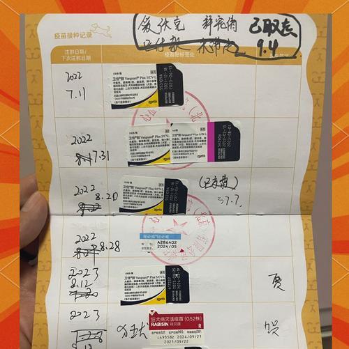 宠物小狗是否能重新种疫苗(探究宠物小狗重新种疫苗的必要性及注意事项) 宠物小狗是否能重新种疫苗(探究宠物小狗重新种疫苗的必要性及注意事项)
