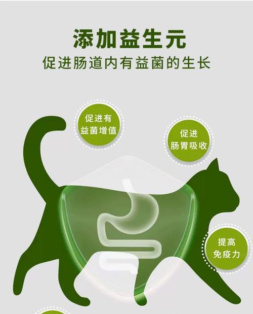 小猫助力健康肠胃（宠物小猫如何促进肠胃健康）