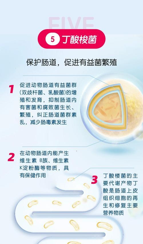 猫咪益生菌的正确用量(为宠物健康选择最佳用量方式) 猫咪益生菌的正确用量(为宠物健康选择最佳用量方式)