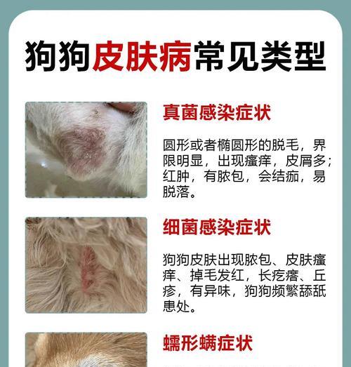 白化病(识别白化病的症状) 白化病(识别白化病的症状)