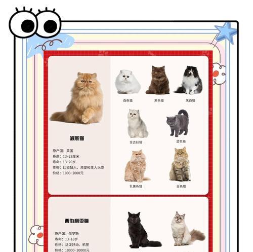 小猫长不大的品种——缅因猫（探究缅因猫为何长不大的原因）