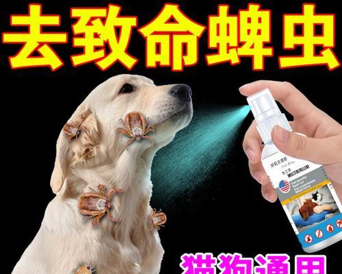 狗狗用除虱喷剂后烦躁,如何缓解(解决狗狗使用除虱喷剂后的烦躁不安情绪) 狗狗用除虱喷剂后烦躁,如何缓解(解决狗狗使用除虱喷剂后的烦躁不安情绪)