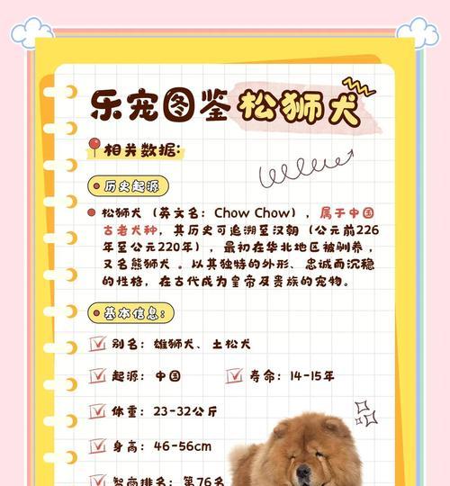 如何判断松狮犬的品像——以宠物为主（掌握这些关键点）