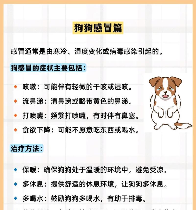 狗狗得了犬瘟，怎么办（一位宠物主人的故事及治疗建议）