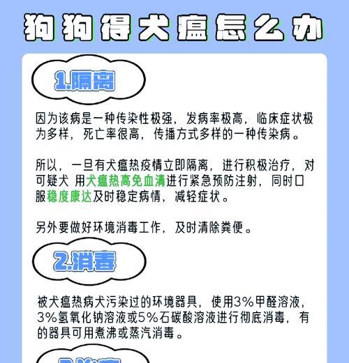 狗狗得了犬瘟,怎么办(一位宠物主人的故事及治疗建议) 狗狗得了犬瘟,怎么办(一位宠物主人的故事及治疗建议)