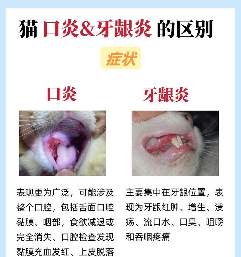 宠物猫咪的牙齿换牙秘密(先换犬齿) 宠物猫咪的牙齿换牙秘密(先换犬齿)