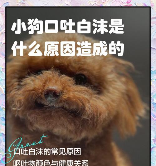 宠物狗犬瘟抽搐吐白沫症状持续时间及治疗方法(以犬瘟为主要病因的狗病发病期) 宠物狗犬瘟抽搐吐白沫症状持续时间及治疗方法(以犬瘟为主要病因的狗病发病期)