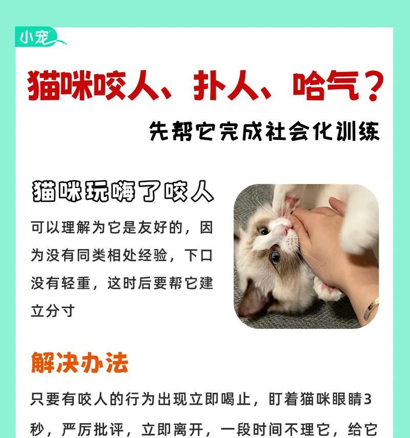 小猫扑人腿,如何让它不再乱扑(以宠物为主) 小猫扑人腿,如何让它不再乱扑(以宠物为主)
