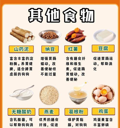 狗狗的奶量怎么增加(通过合理饮食提高母狗的乳汁量) 狗狗的奶量怎么增加(通过合理饮食提高母狗的乳汁量)