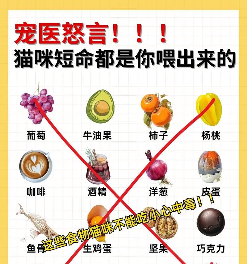 小猫的饮食习惯与喂养方法(养宠物必备知识) 小猫的饮食习惯与喂养方法(养宠物必备知识)
