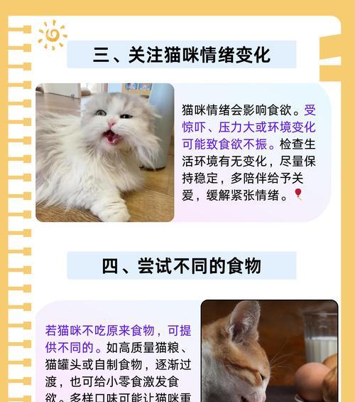 小猫的饮食习惯与喂养方法(养宠物必备知识) 小猫的饮食习惯与喂养方法(养宠物必备知识)